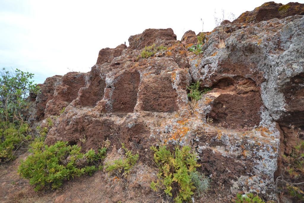 Mirador Del Gallego Santa Maria de Guia de Gran Canaria 객실 사진